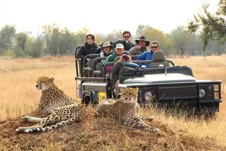 South Africa Safari Tour Package